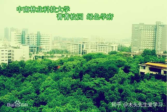 简称"中南林科大"(csuft),坐落于湖南省长沙市,是国家林业和草原局与