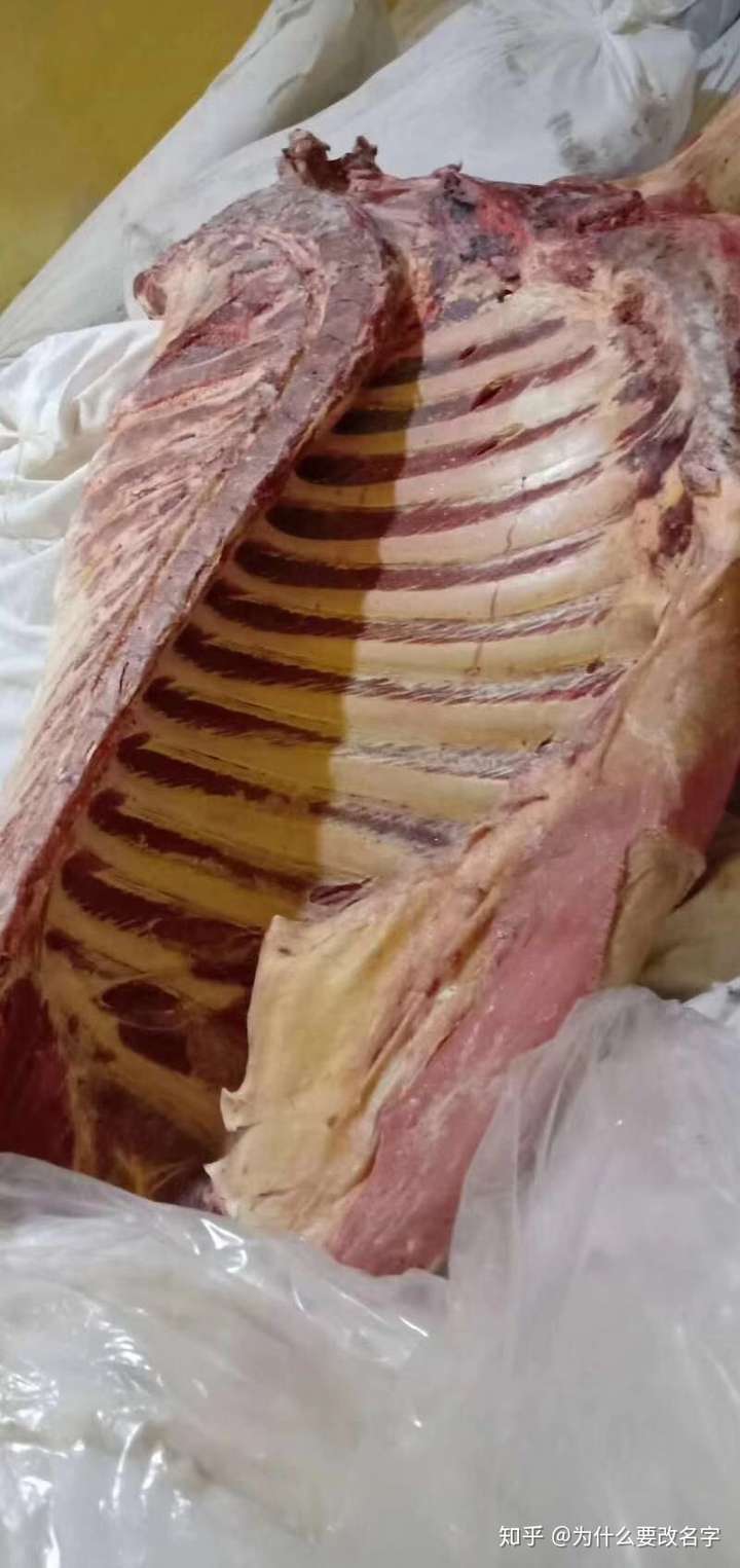 像这种散养的草饲牛四分体,到内地也就五十多一公斤!吃起来