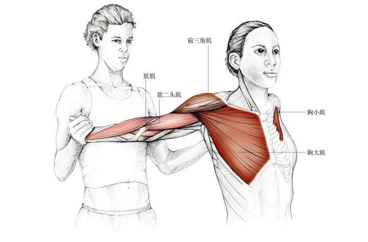 胸肌锻炼完如何拉伸?