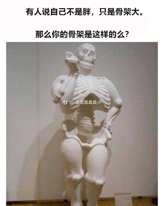 如何反驳「骨架大的人瘦不了?