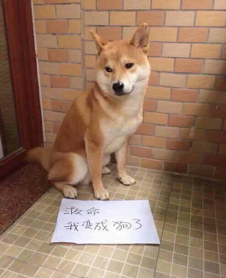 有<em>硬妹</em>的女朋友<em>是什么</em>体验? - 扶苏的回答 - 知