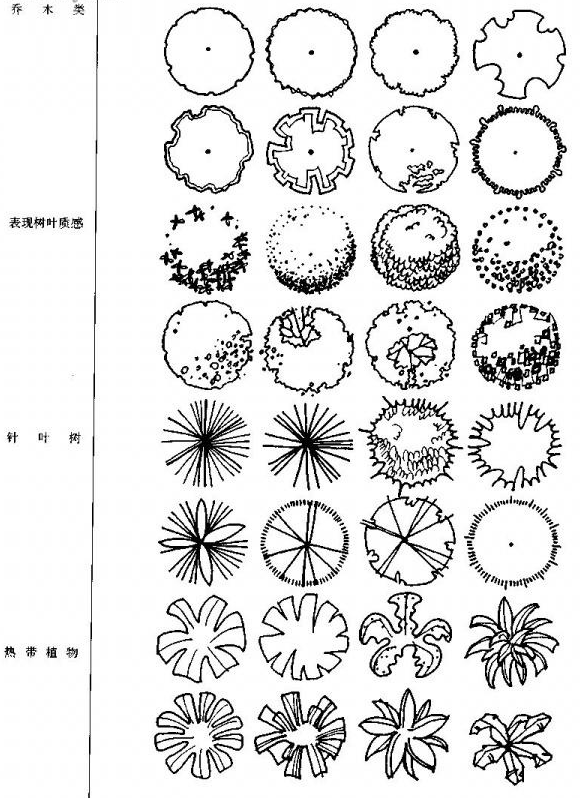 景观手绘中树怎么画比较好看?