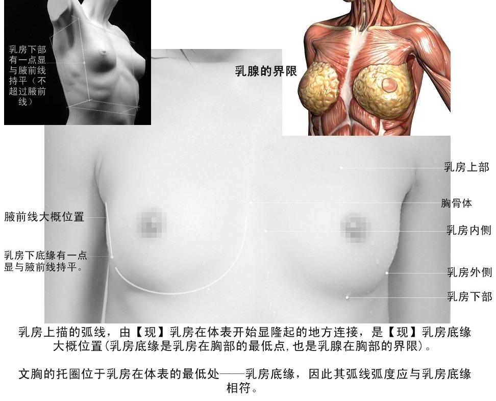 <em>判断文胸是否</em>穿戴<em>合适</em>最重要的标准是什么? -