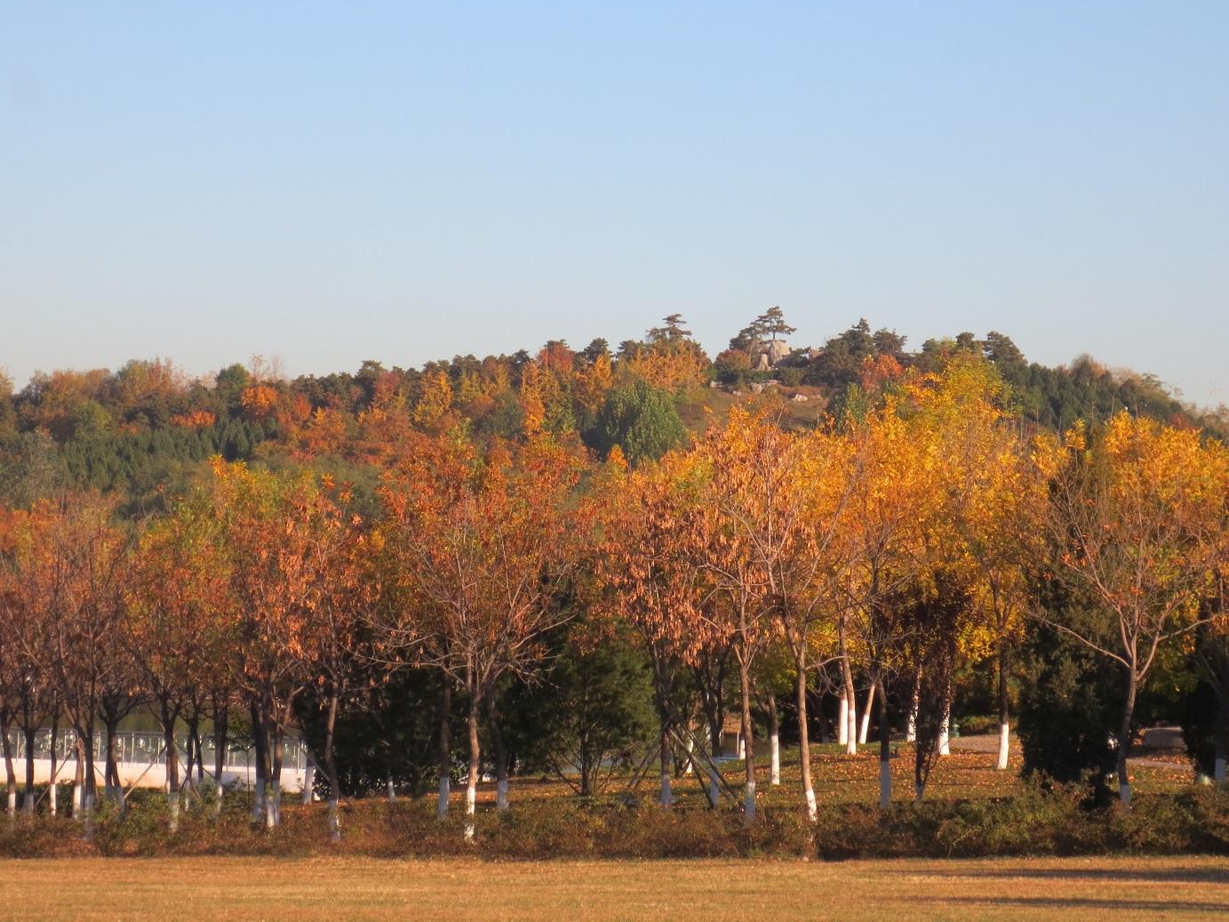 每天坚持一个小时的锻炼比如跑步,是一种什么