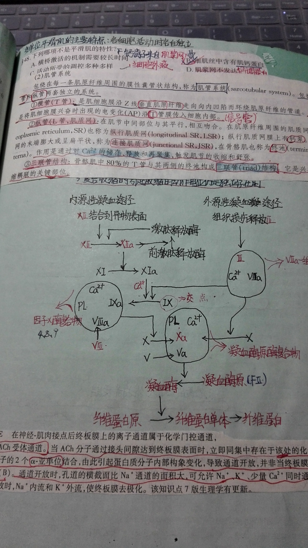 如何评价贺银成?