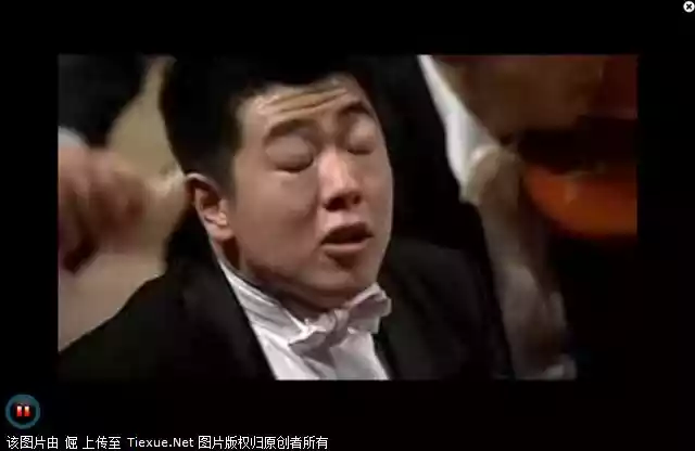 只论钢琴水平,钢琴家如郎朗、李云迪比王力宏