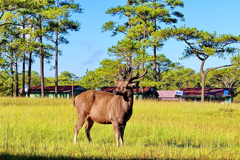 泰国有哪些不为人知却好玩的地方? - yau echo