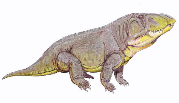 波斯特鳄:劳氏鳄目 ,体长4-5米,体重可能有250-300公斤 肉食