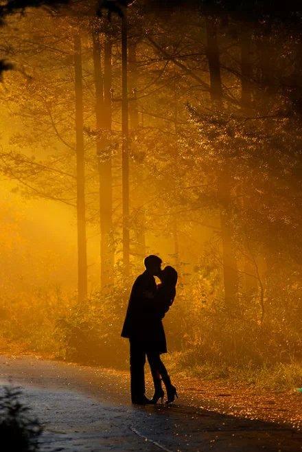 森林里,夕阳中,两个人的剪影,好美