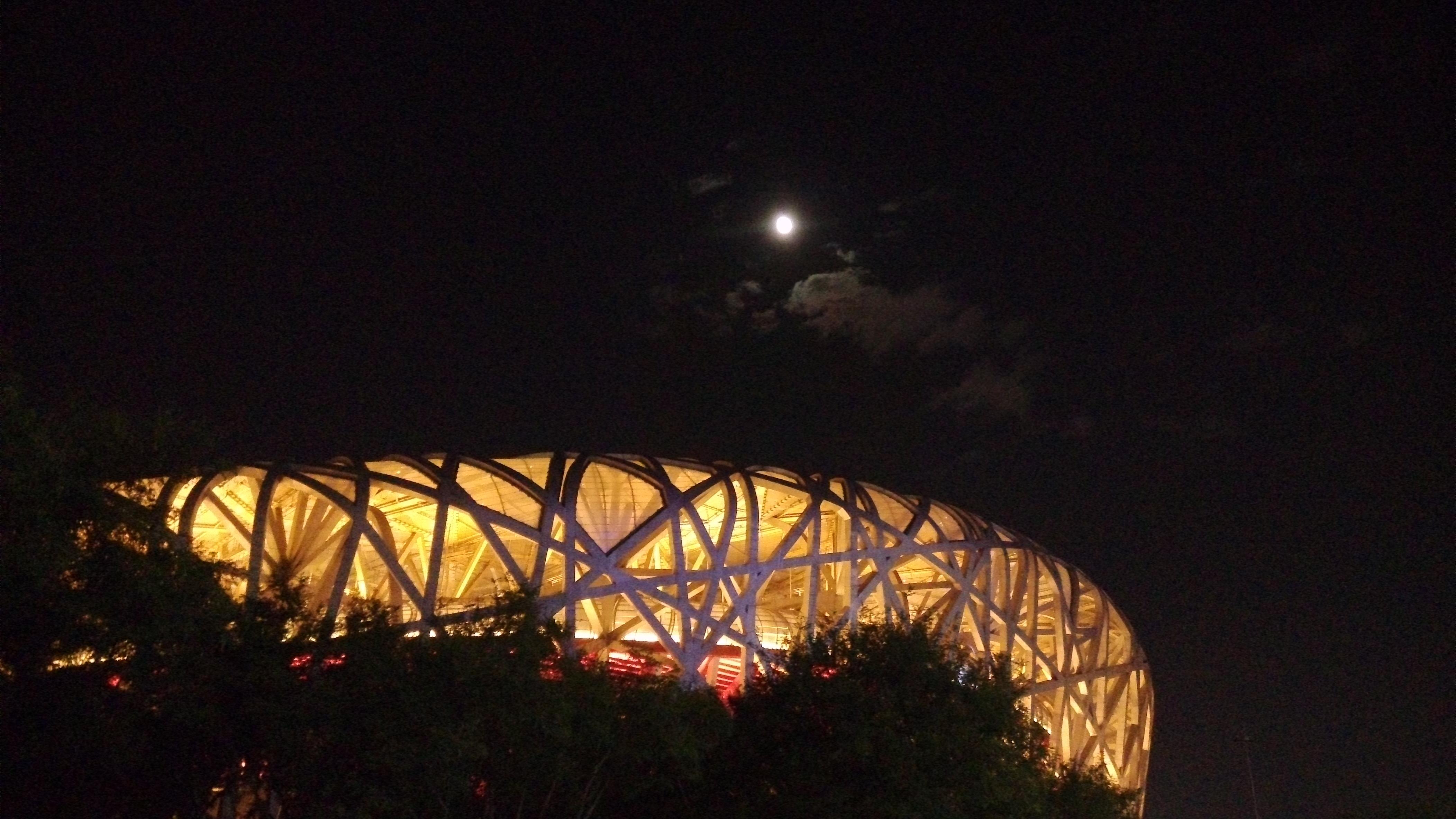 没有什么可以阻挡我对自由的向往 - 设计湿了没