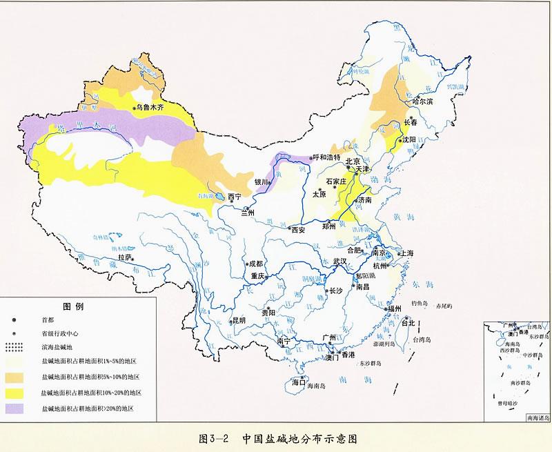 中国盐碱地分布示意图[3]