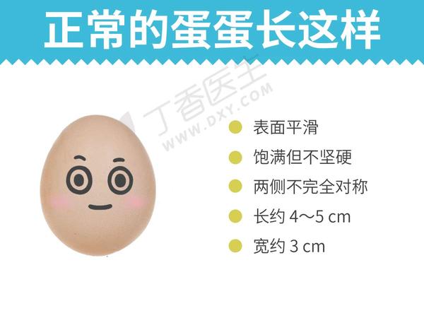 乐嘉睾丸破裂?要做一个蛋蛋的男子了吗