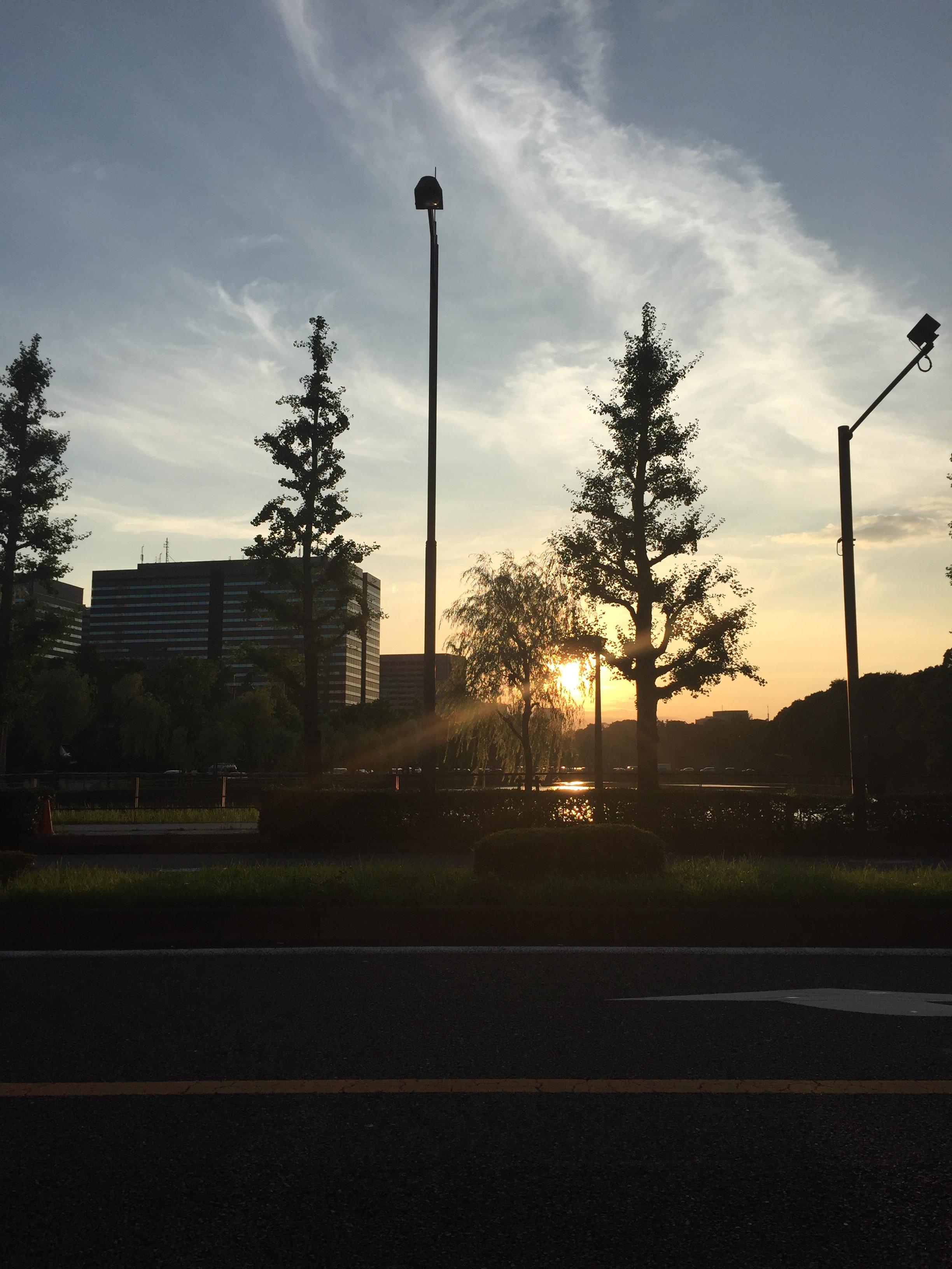 『那夕阳下的奔跑,使我们逝去的青春』——拍摄于皇居边