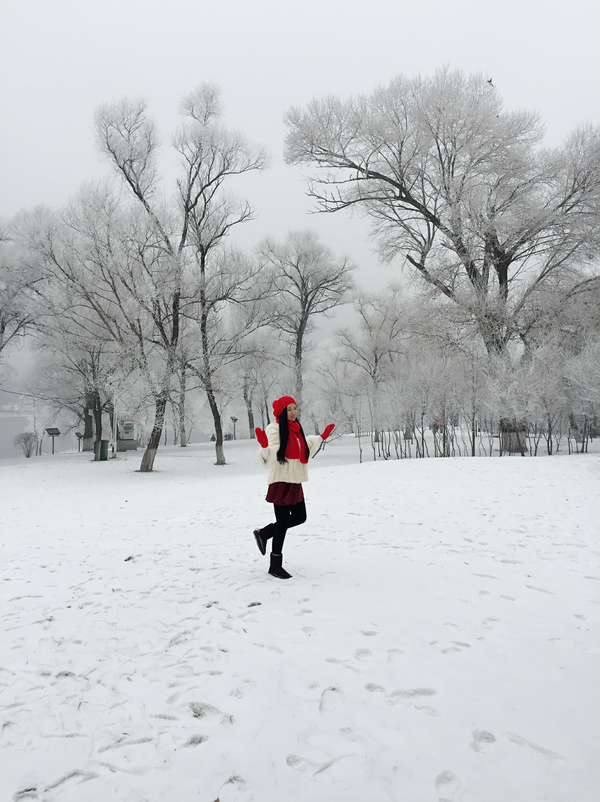 有哪些北方城市适合看雪?