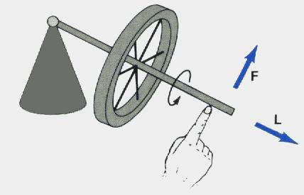 一个自转的物体受外力作用导致其自转轴绕某一中心旋转,这种现象称为