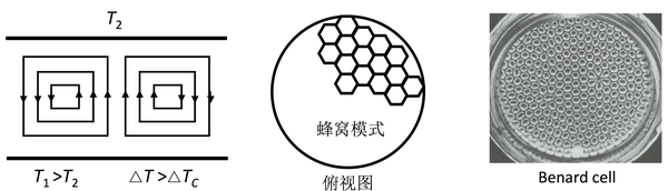 有什么证据可以证明太阳上有碳基生命或硅基生命的存在或是能说明不