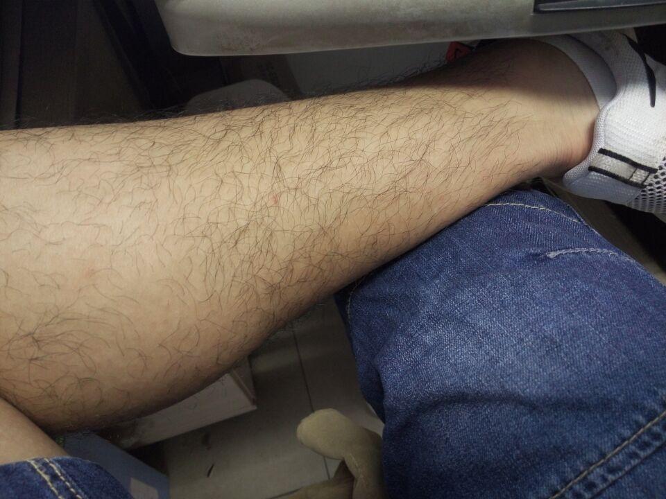 听好多人说过腿毛长性欲,是这样的吗?