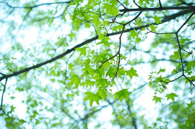 富士x100s怎么样,适合新手用吗,新手要配什么