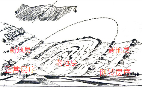                倒转背斜(图侵删)