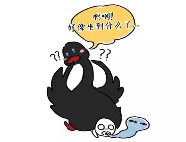 带你涨姿势——『黑天鹅事件』是什么意思?