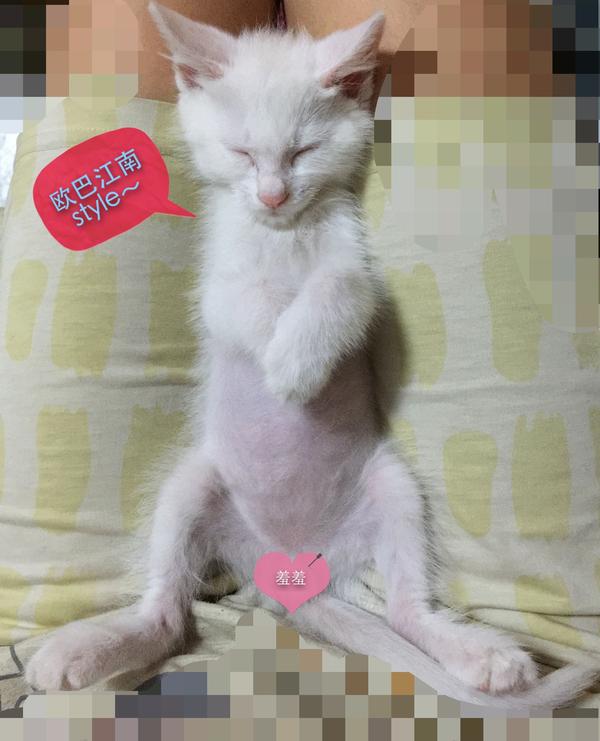 你见过什么看一遍就忍不住笑的图片?