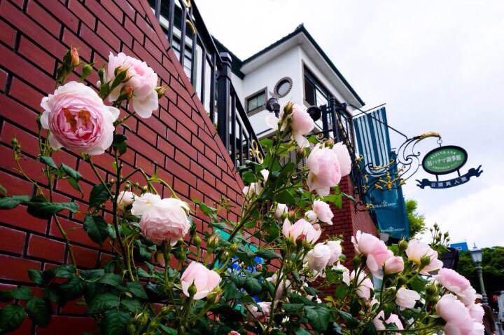 想去日本自由行 是报团还是自己买机票 有什么