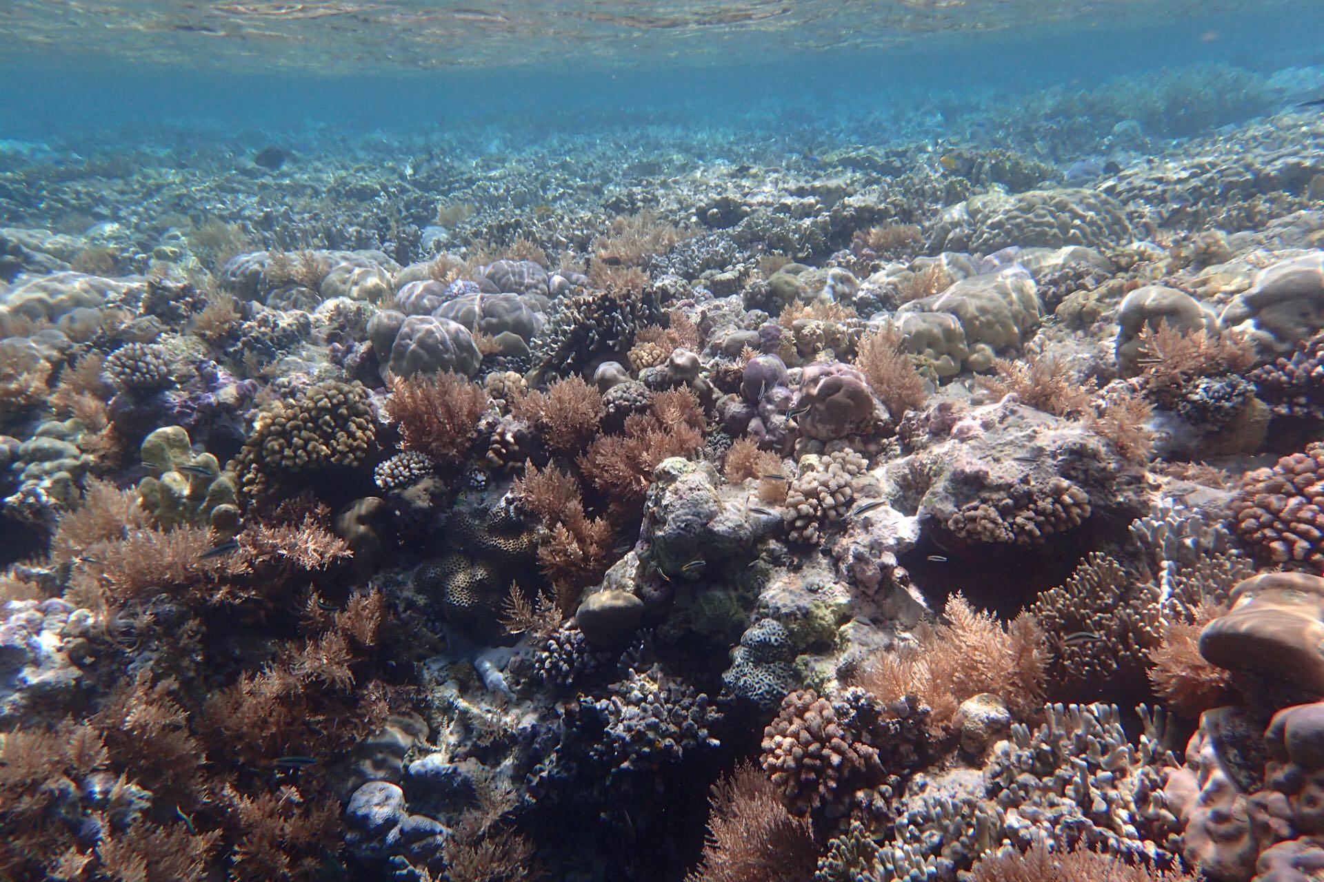 去帕劳旅游人均大概多少钱? - 旅游推荐 - 知乎