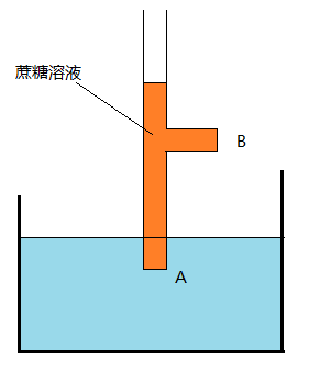 学渣关于永动机的一个想法,使用了半透膜,这个系统也会平衡么?