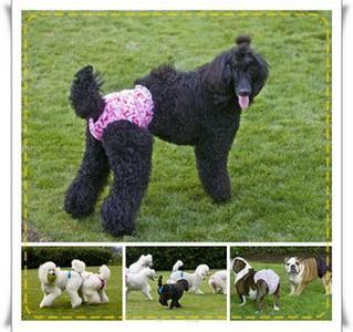 有没有牛人知道原味丝袜这个灰色产业链是怎样