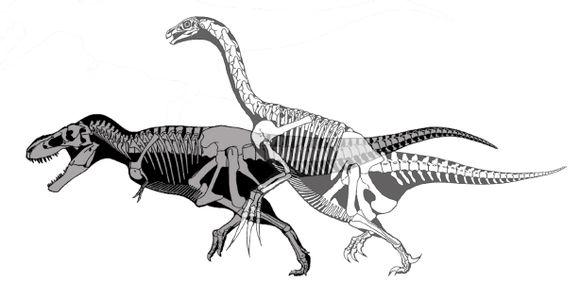 世界上存在过哪些奇特的古生物?