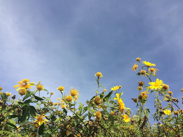 泰国有哪些不为人知却好玩的地方? - yau echo