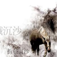 折戟沉沙没什么好说的就这样