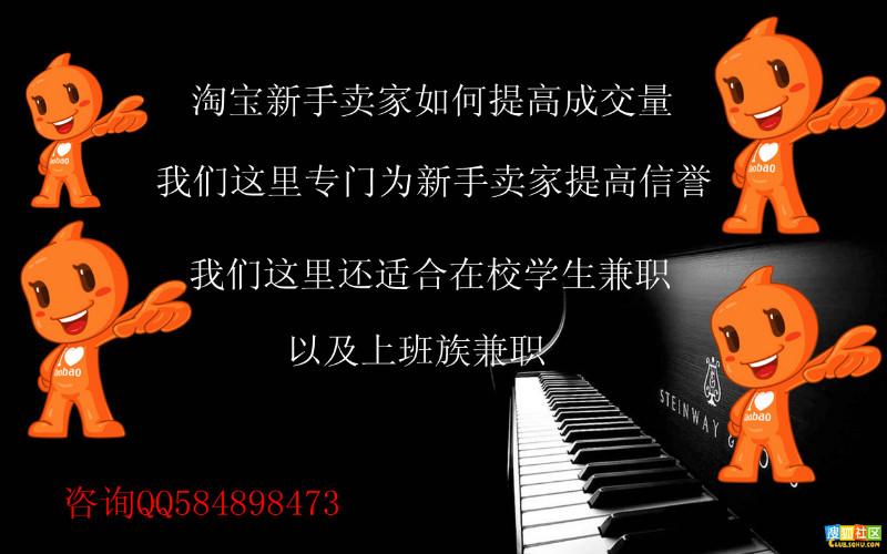 知识产权流程专员