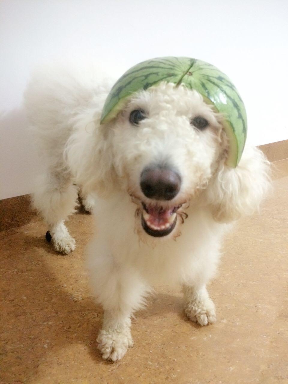 如何看待微博用户「<em>回忆专用小马甲</em>」用绳子绑