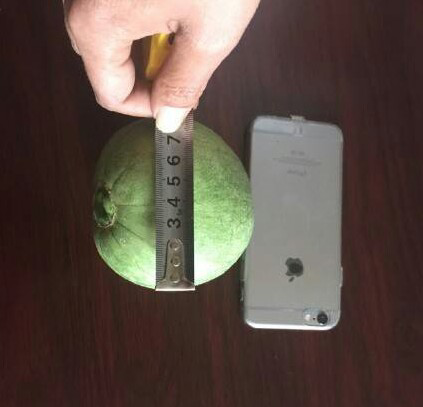 评价抗日神剧《一起打鬼子》第29集中<em>棒子</em>哥