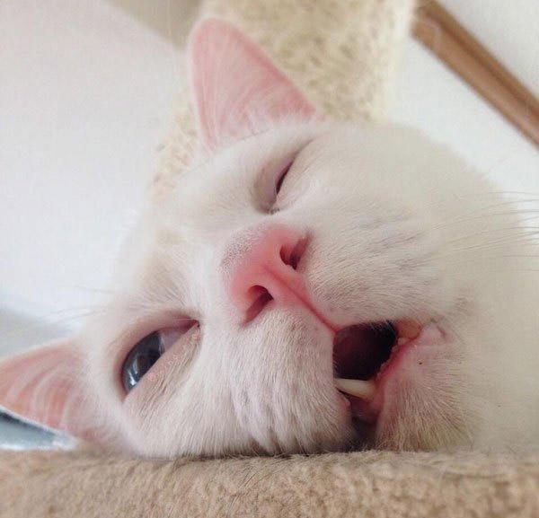 一眼睁