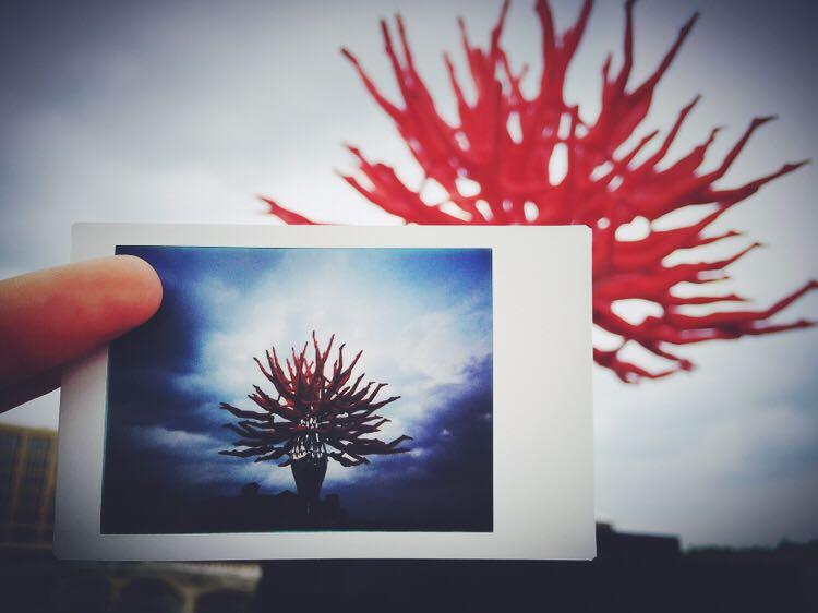 FUJI拍立得和LOMO拍立得有什么区别,哪个可