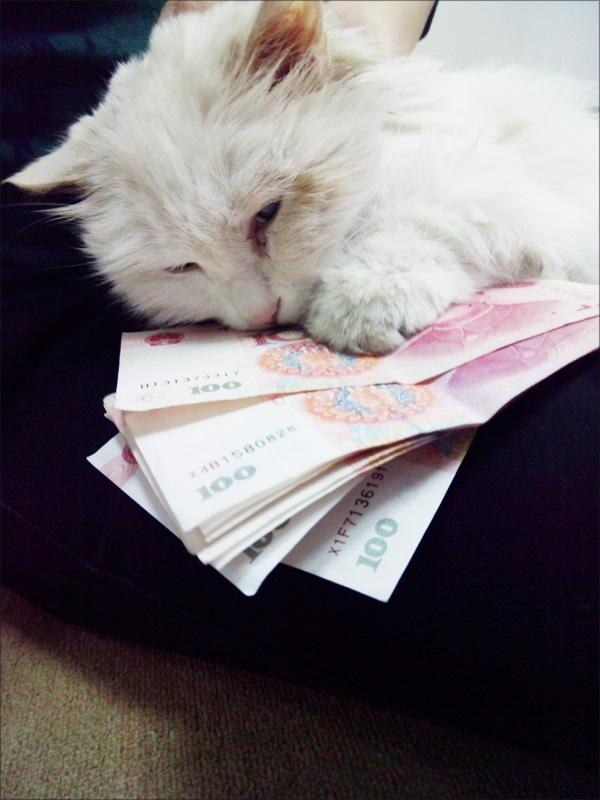 不值得作为真心朋友来交往的人,他们身上都有