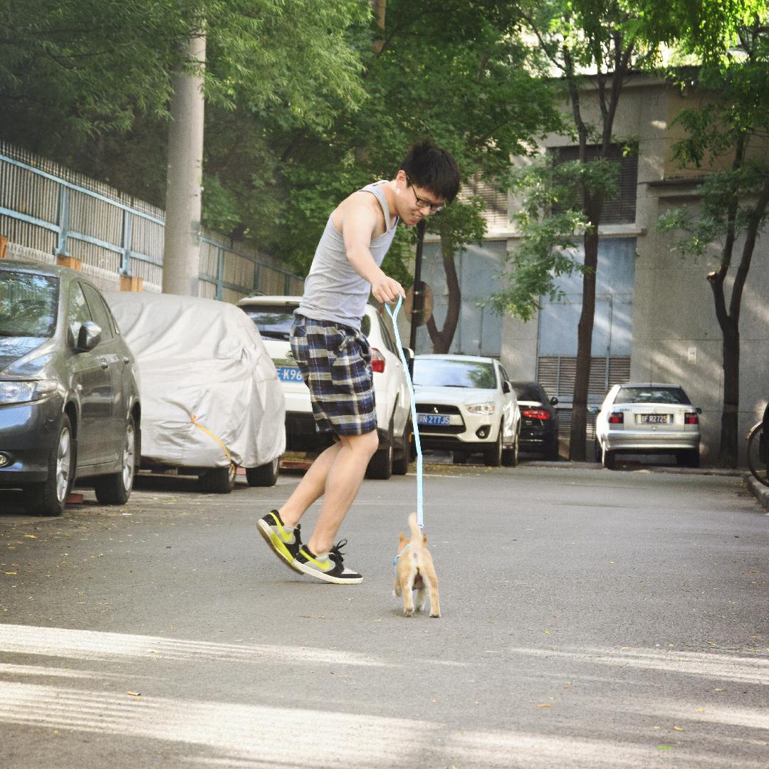为什么都说<em>程序员找</em>不到<em>女朋友</em>,但是身边程序
