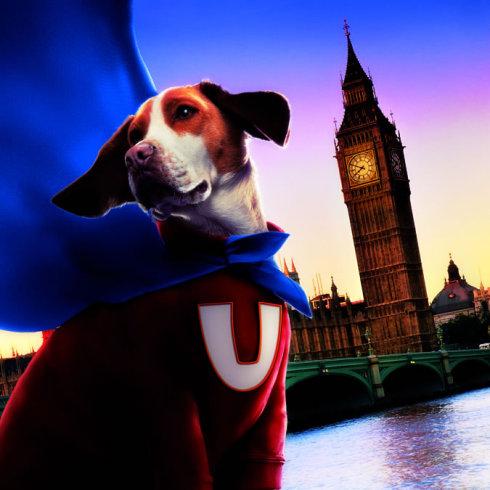 作为一名专科生有可能考上注册会计师吗? - 注