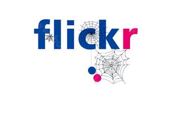 Flickr 相册