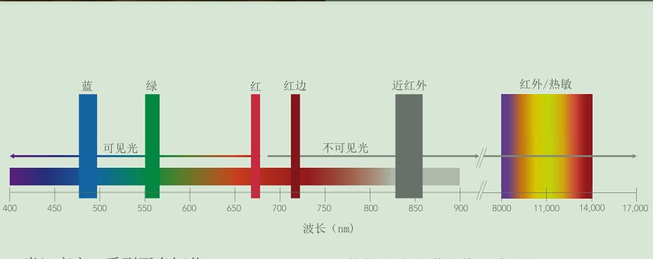 altum热敏多光谱相机的优势在哪 知乎