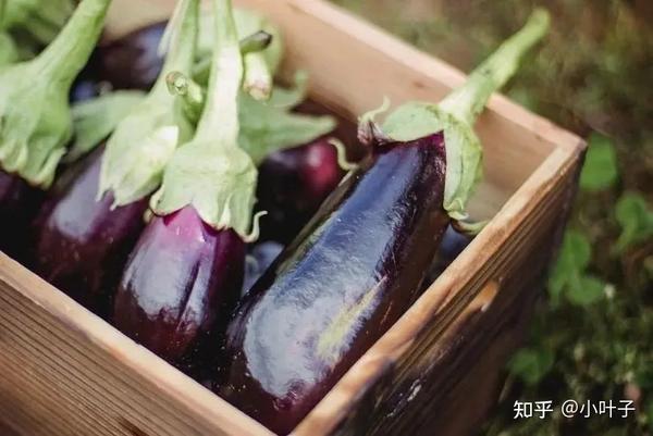 这5种紫色食物,堪称"花青素之王"!抗氧化,明目…不吃实在太可惜