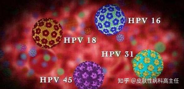 男性怎么检查hpv