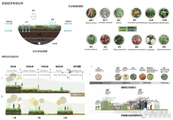 2021毕设配套素材15丨万能景观分析图模版景观为主附使用方法