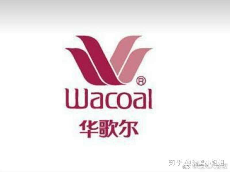 2008年7月华歌尔启用滨崎步为品牌代言人,并资助其十周年亚洲巡回演唱