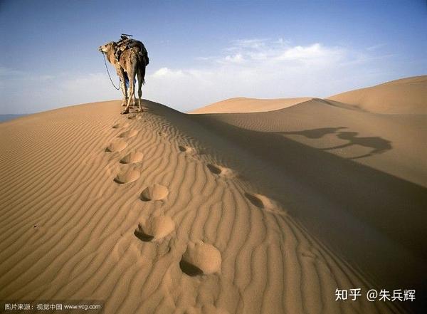 独行在沙漠(朱兵辉)