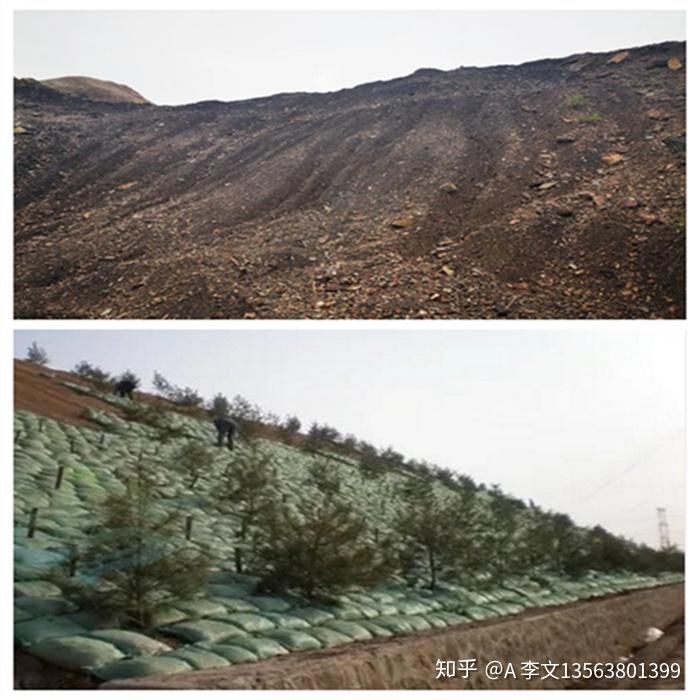 废弃煤矸石山治理中的应用植生袋