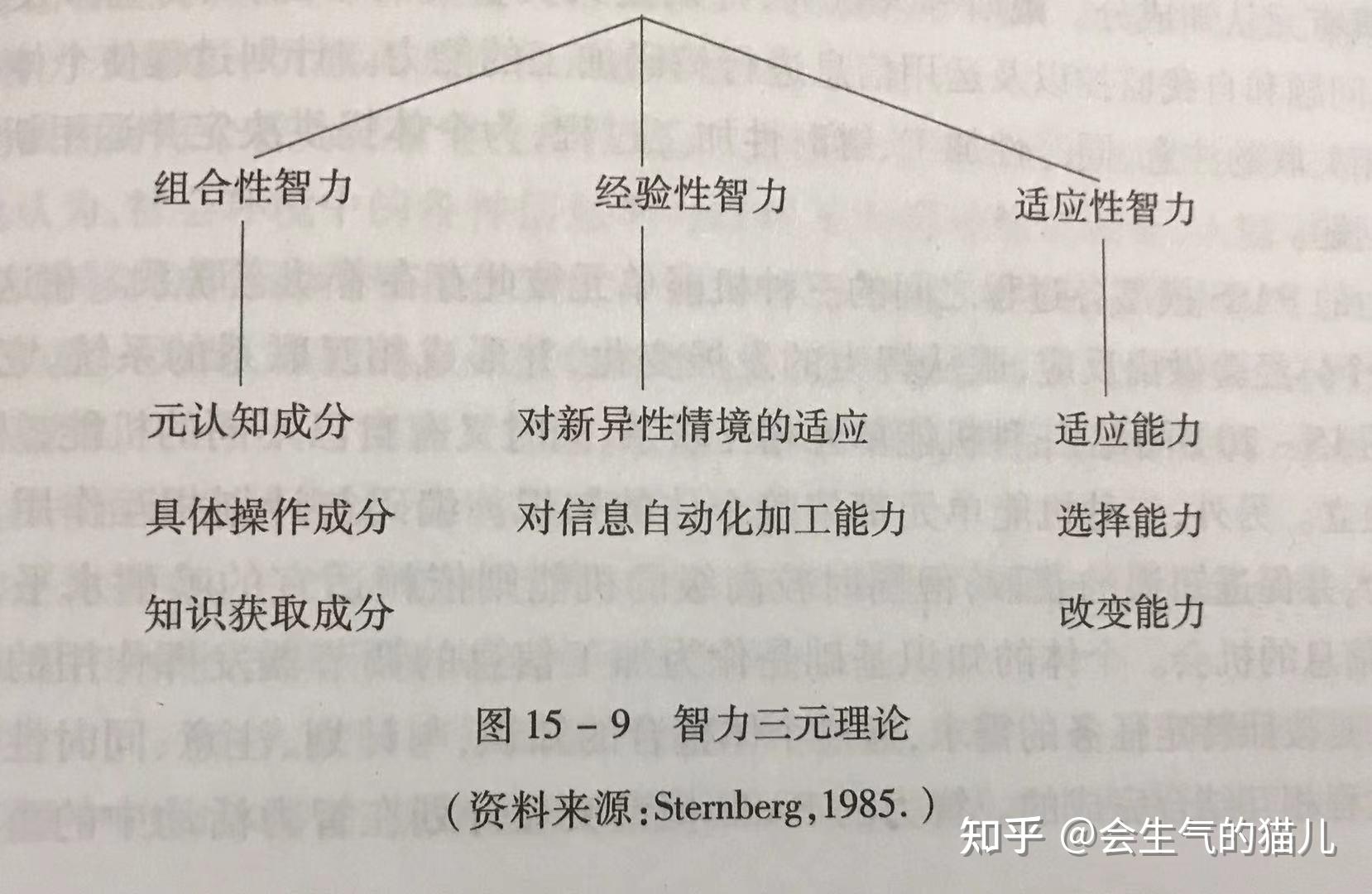 心理学考研高频考点斯滕伯格智力三元论