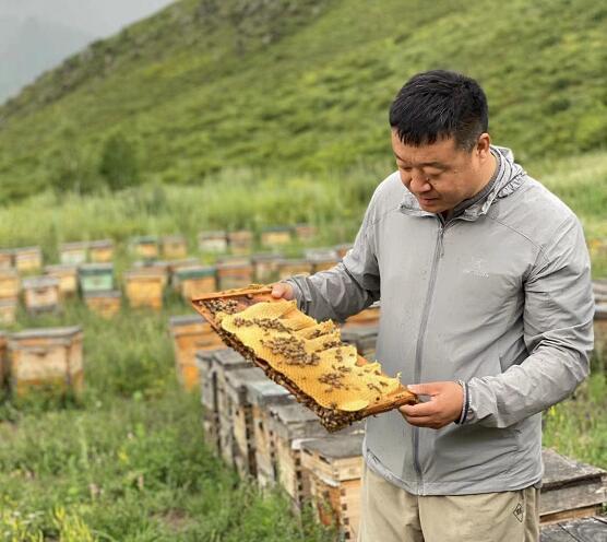蜜蜂花粉的保质期多久了？蜜蜂花粉的储存方法和保质期？